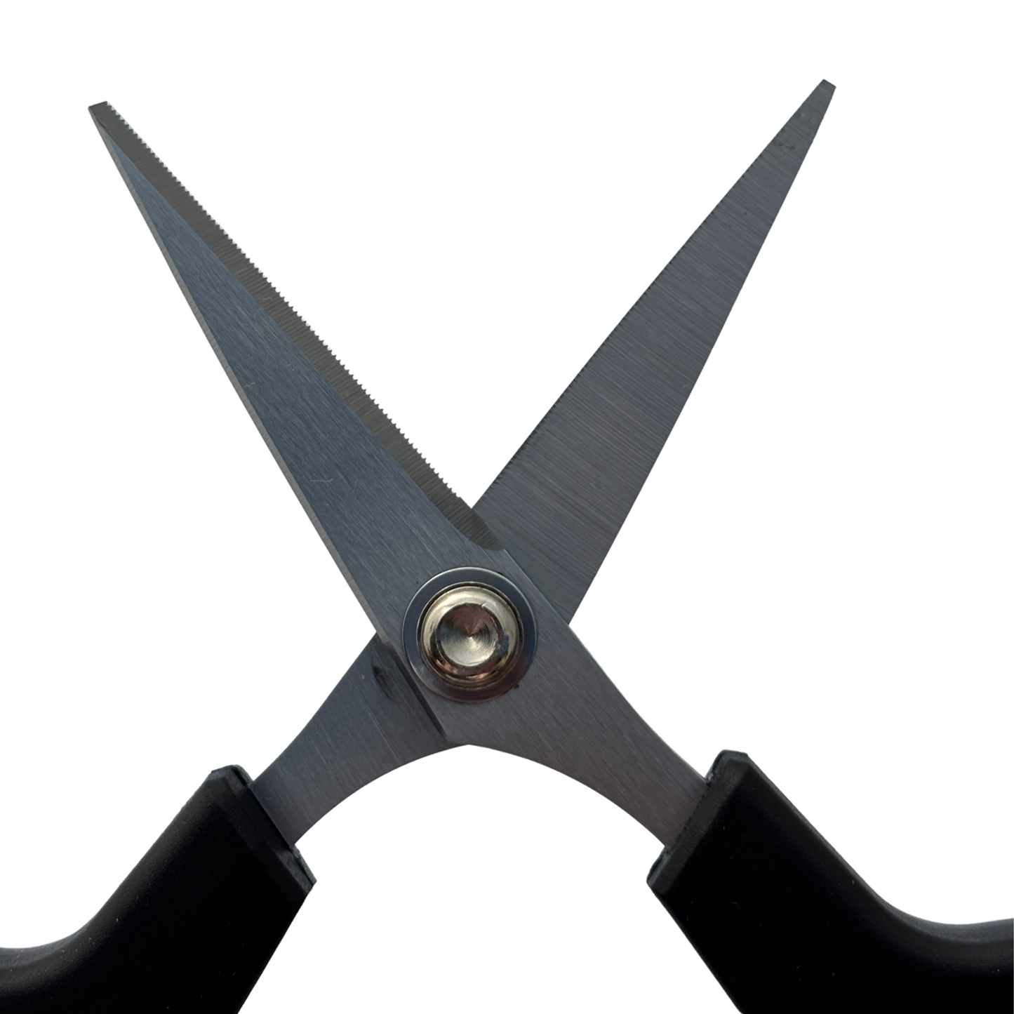 Spectra Scissors